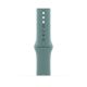 Apple MXNX2ZM/A 44mm Fluoroelastomer Sports Band Strap for Smartwatch Cactus