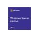 Microsoft Windows Server 2022 - Licence - 5 user CALs- P46215-B21