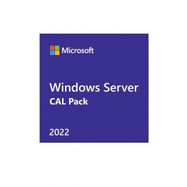 Microsoft Windows Server 2022 - Licence - 5 user CALs- P46215-B21 